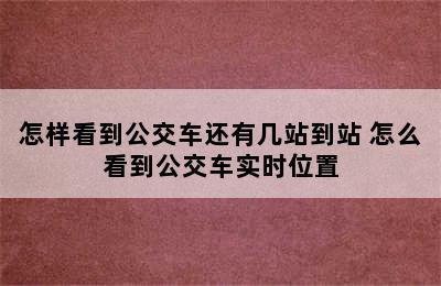 怎样看到公交车还有几站到站 怎么看到公交车实时位置